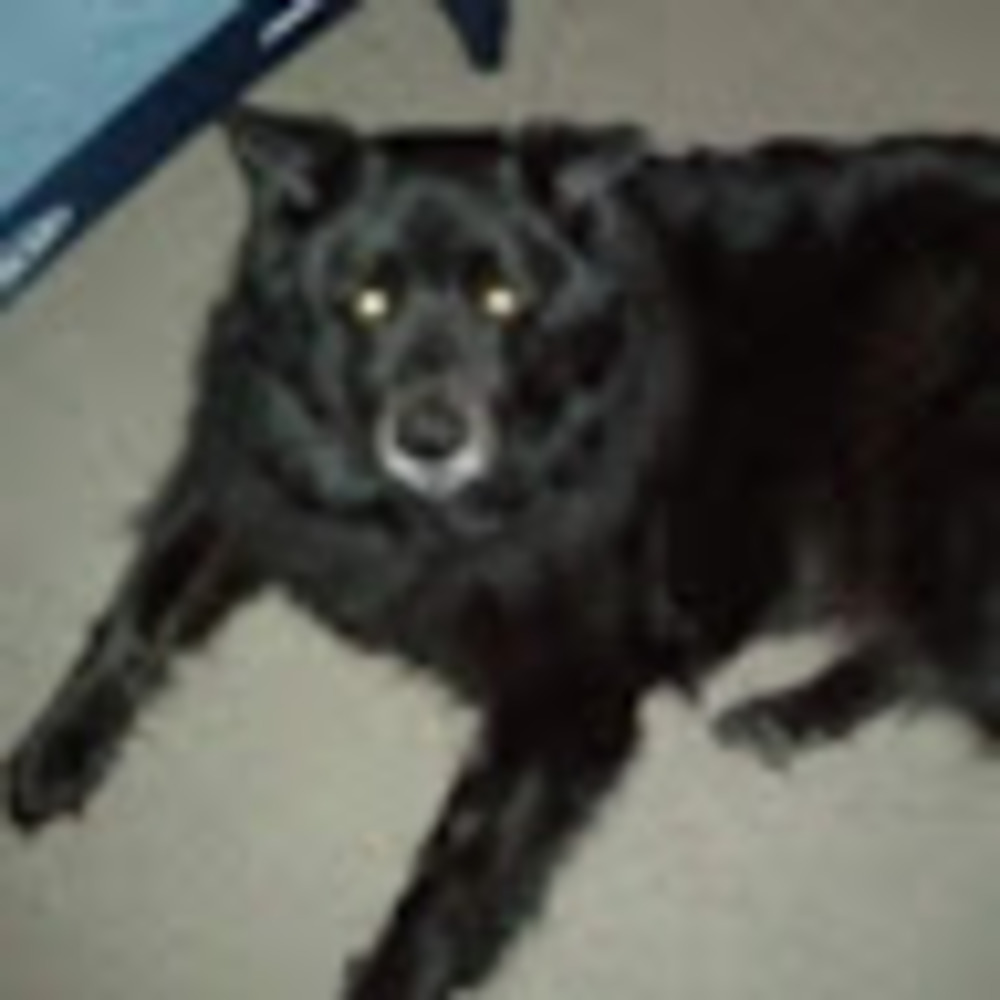 Meet your Posher, Emmyjenine